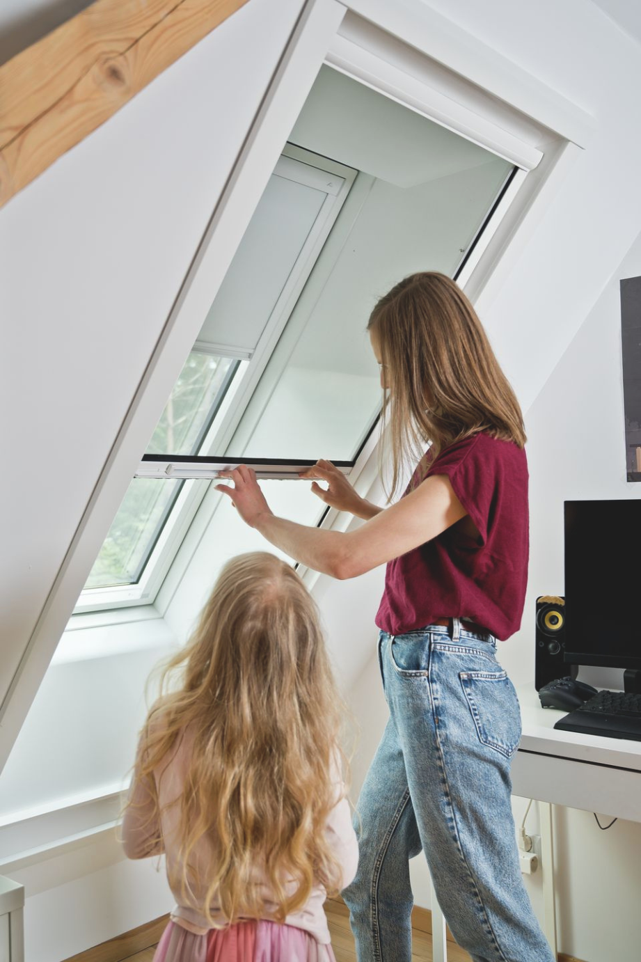 ROTO Insektenschutzrollo für Dachfenster